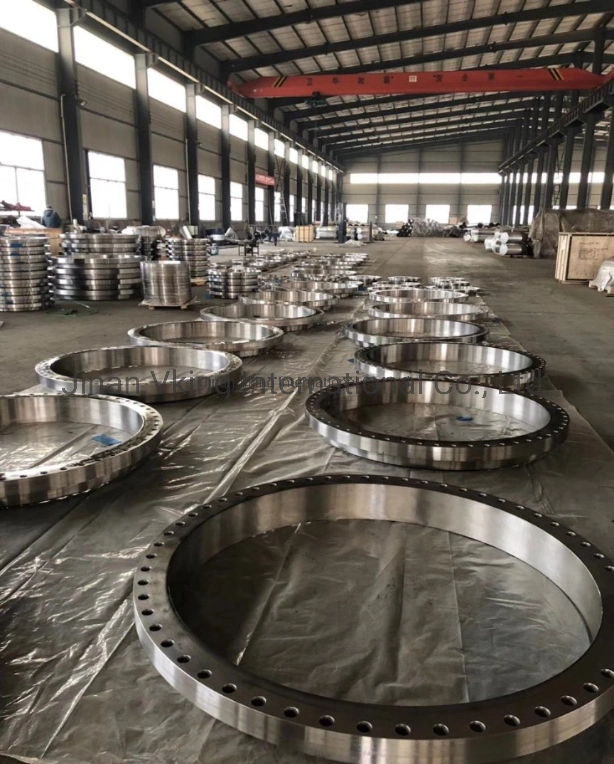 Hot Sale 304 Stainless Steel Forged Pipe/Plate Fitting Floor Slip on/Ring/Blind Dn 100 Flange